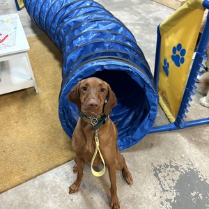 Fundraising Page: Leslie Nowack